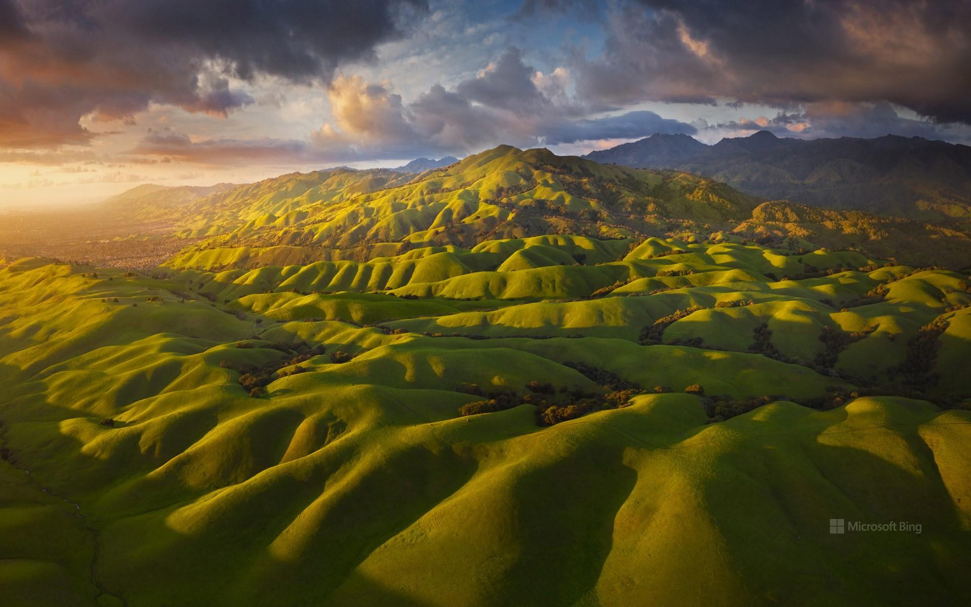 Public profile header image