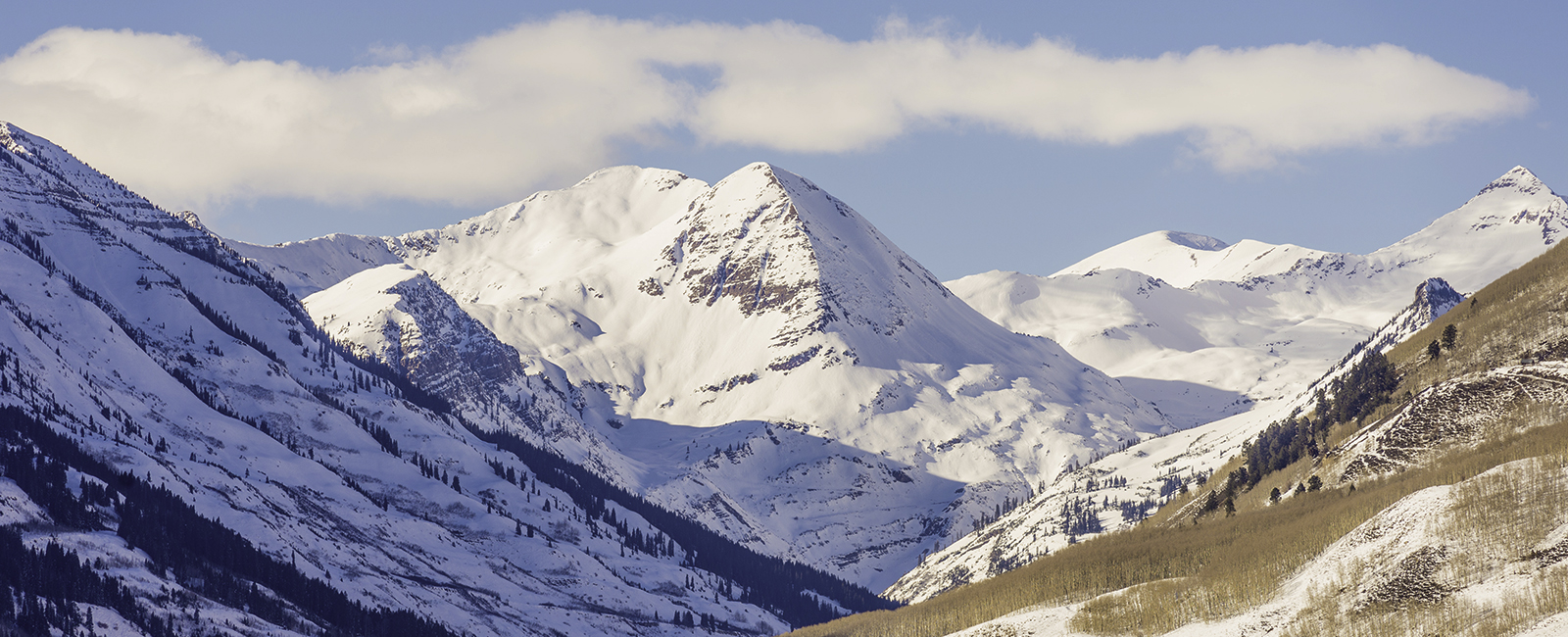 Public profile header image