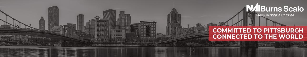 Public profile header image