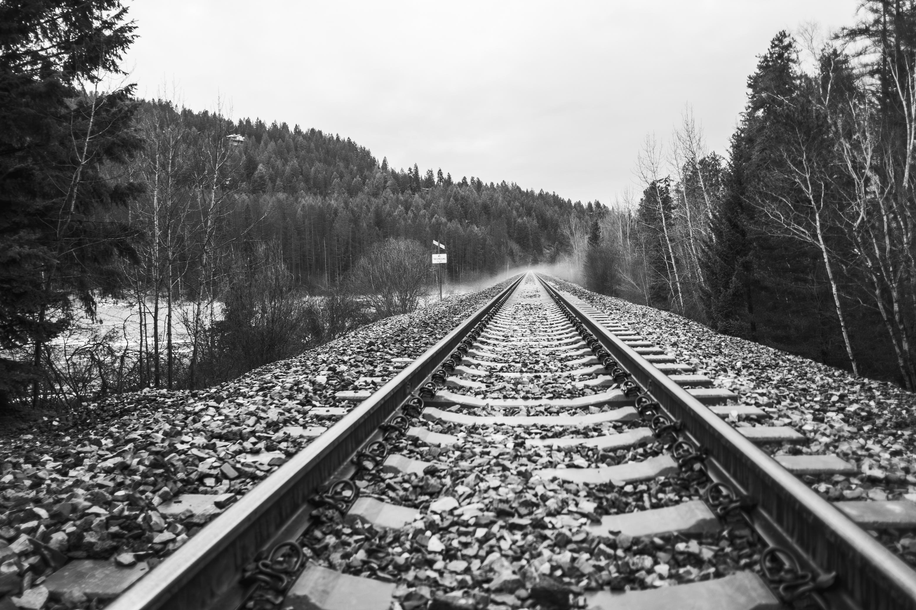 Public profile header image
