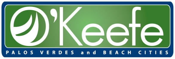 Public profile header image