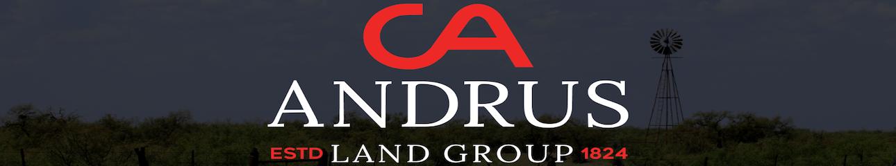 Public profile header image