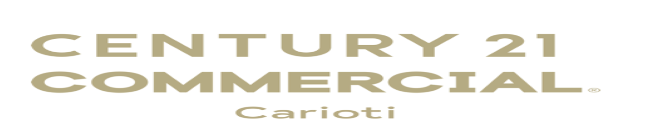 Public profile header image