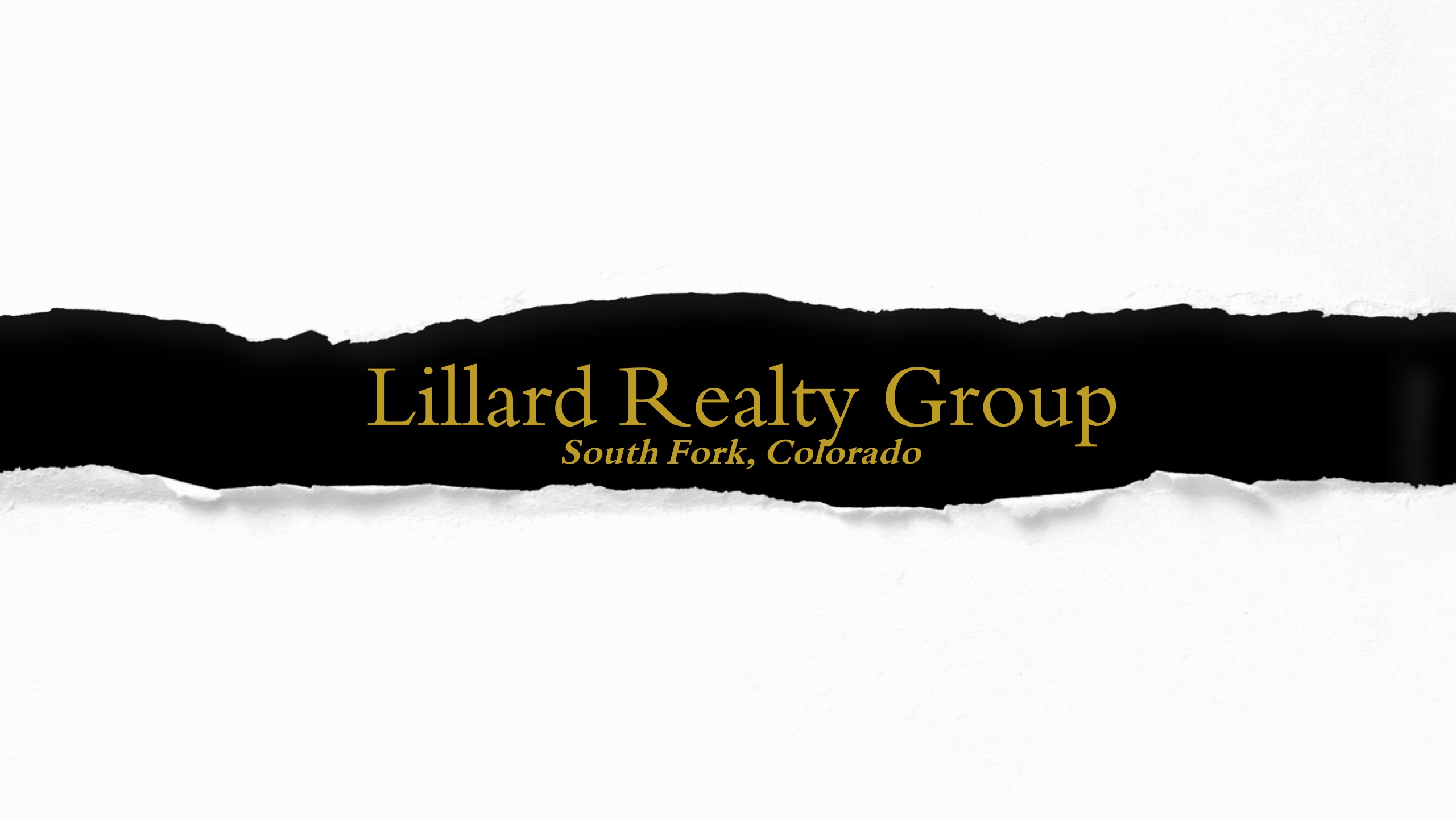 Public profile header image