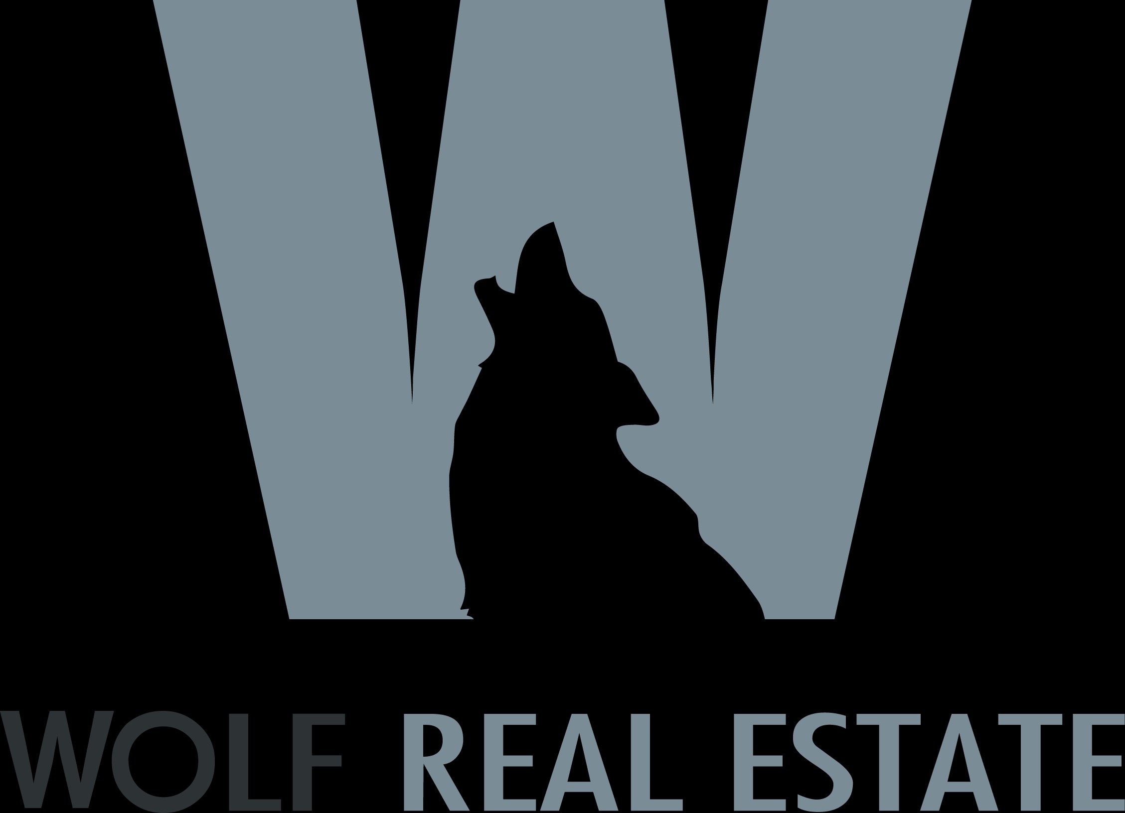 Public profile header image