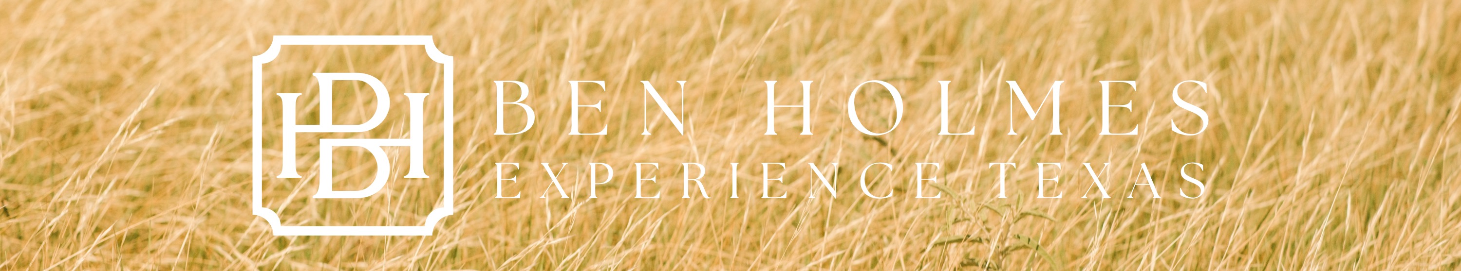 Public profile header image