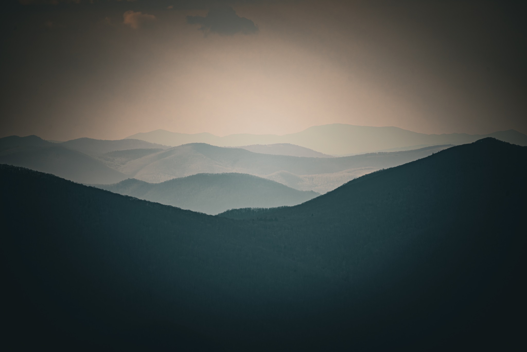 Public profile header image