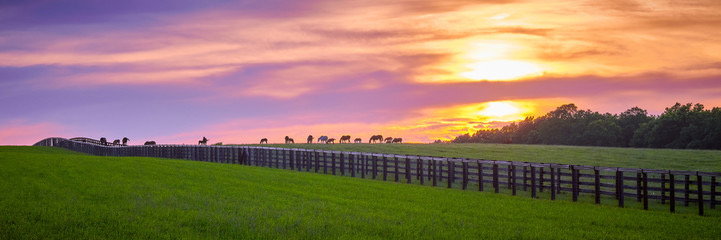 Public profile header image