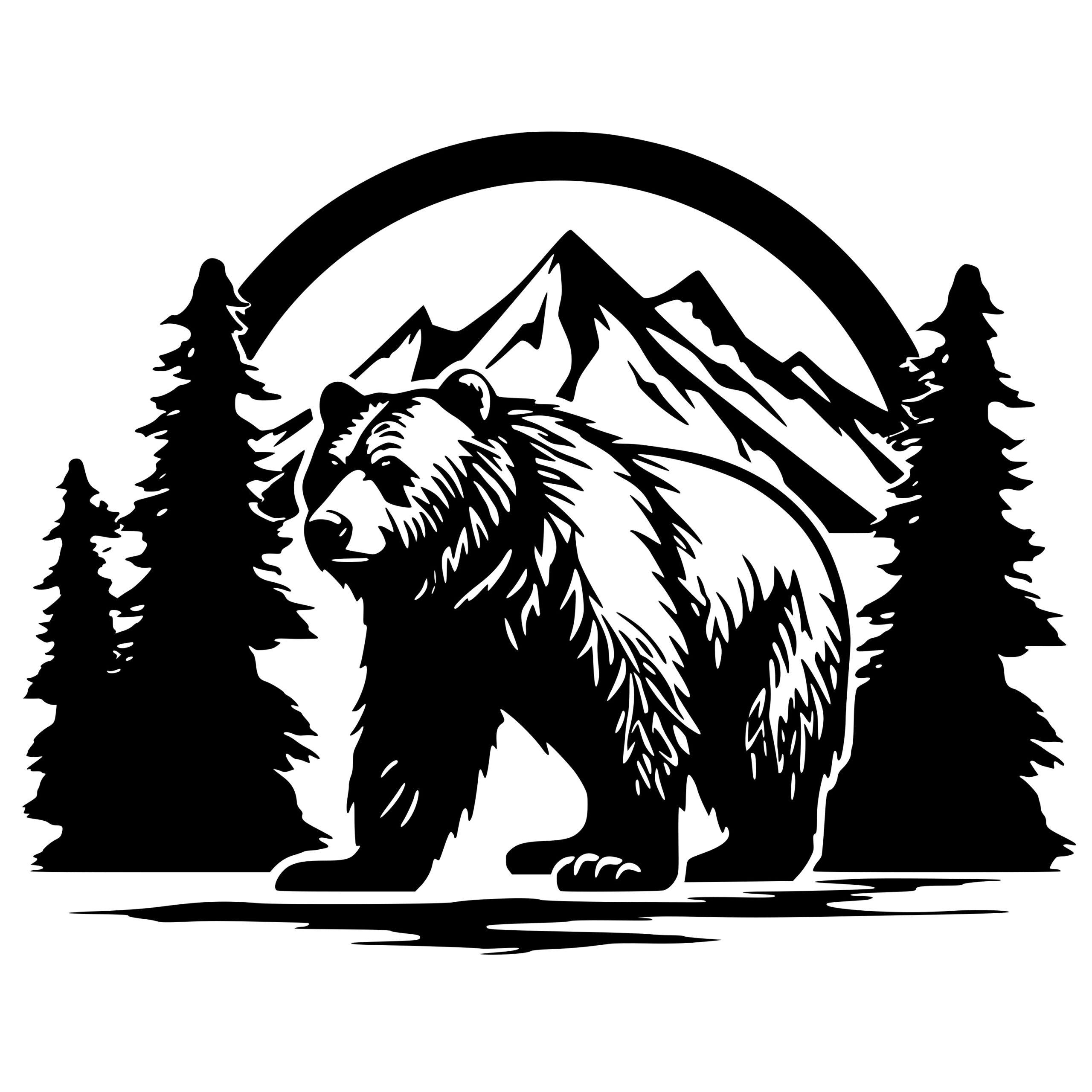 Public profile header image