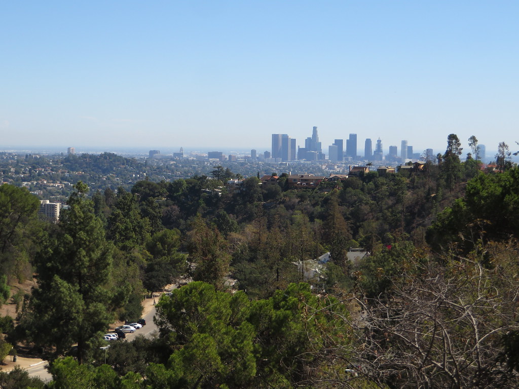 Public profile header image