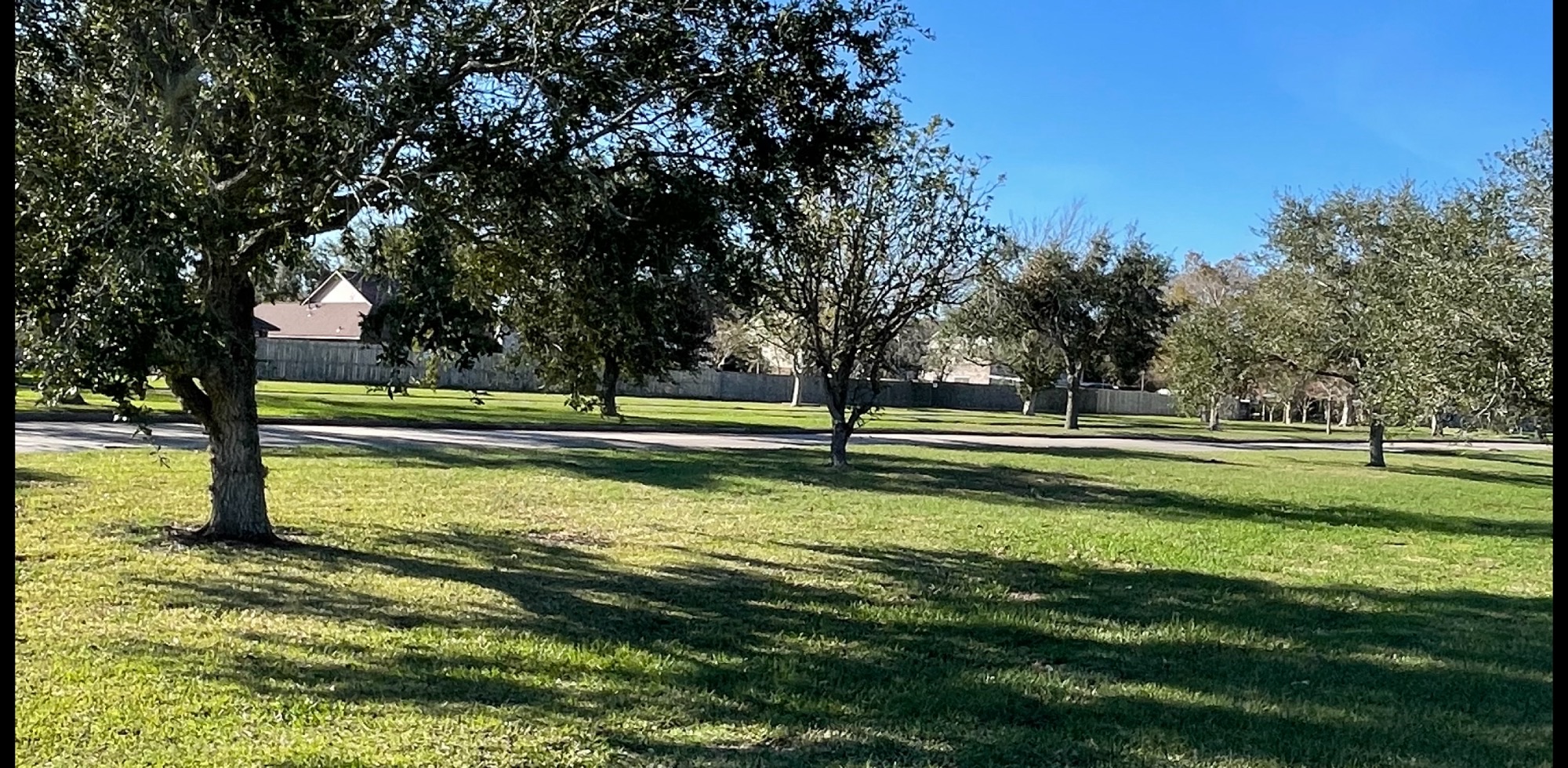 Public profile header image