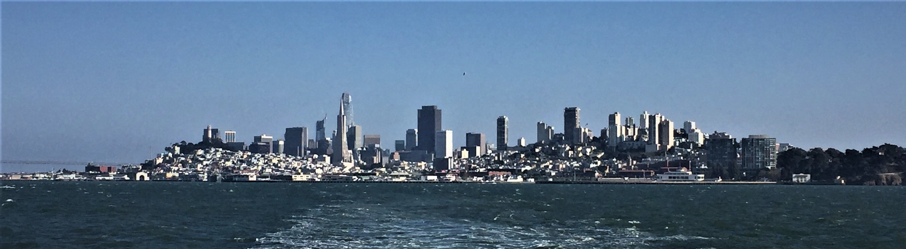 Public profile header image