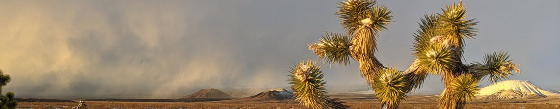 Public profile header image