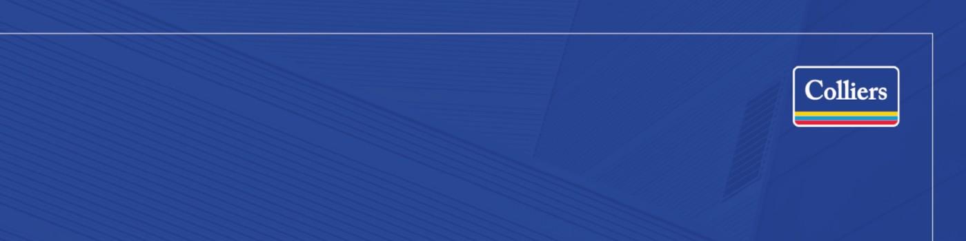 Public profile header image
