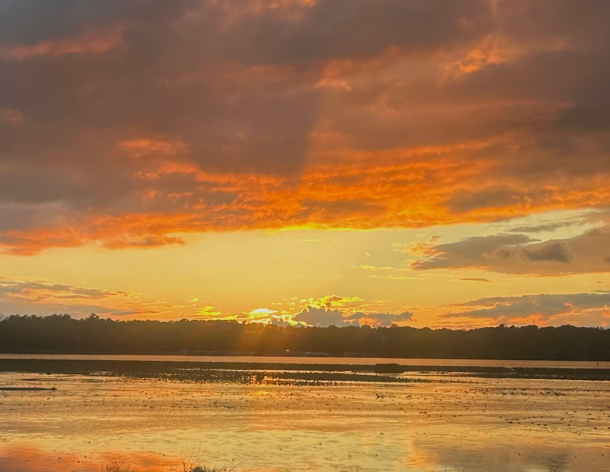 Public profile header image