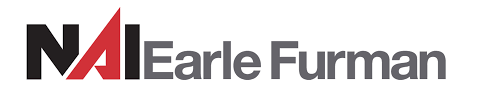 Public profile header image