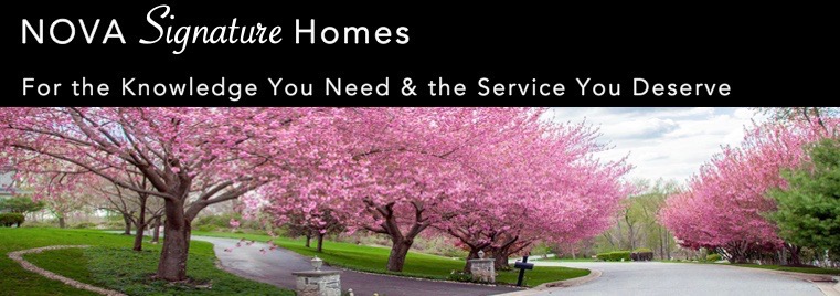 Public profile header image