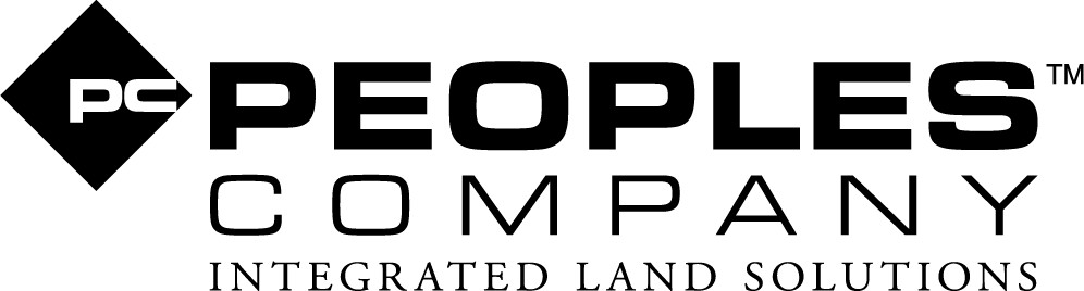 Public profile header image