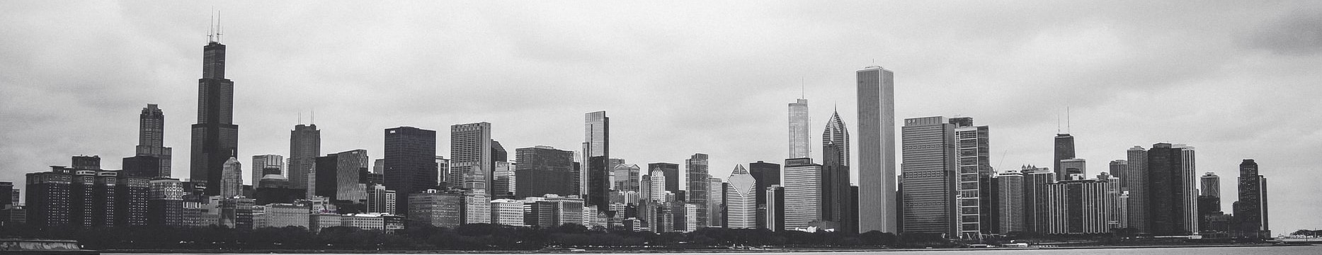Public profile header image