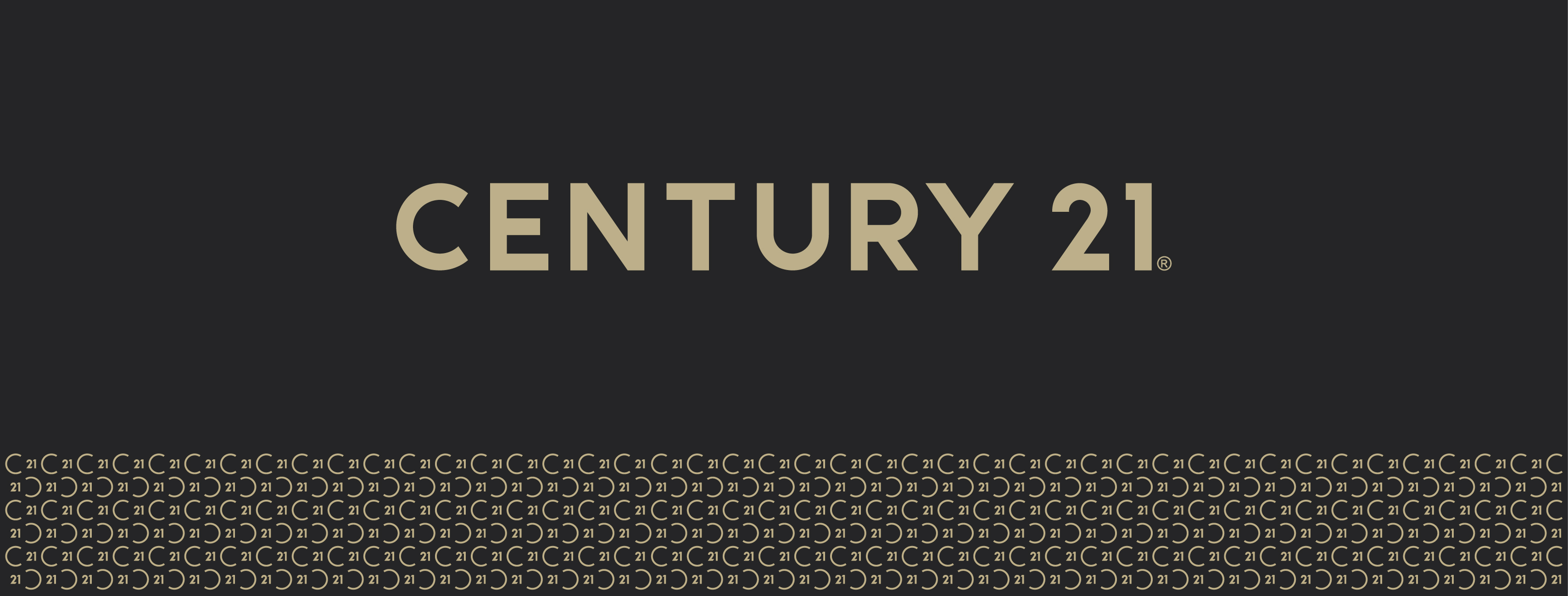 Public profile header image