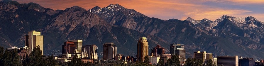 Public profile header image