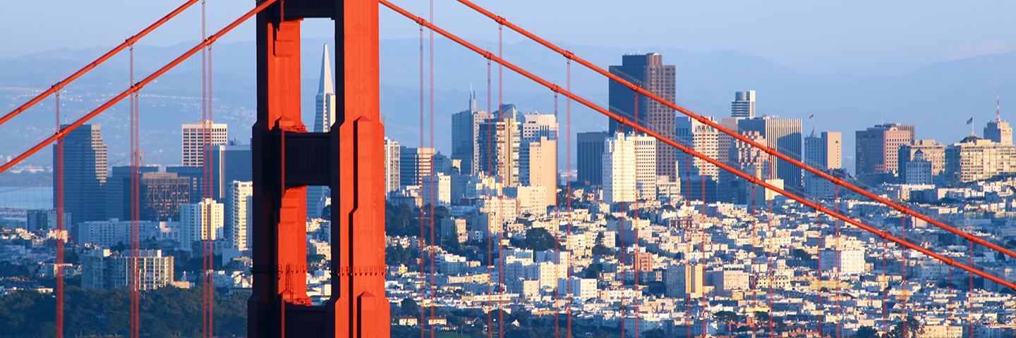 Public profile header image