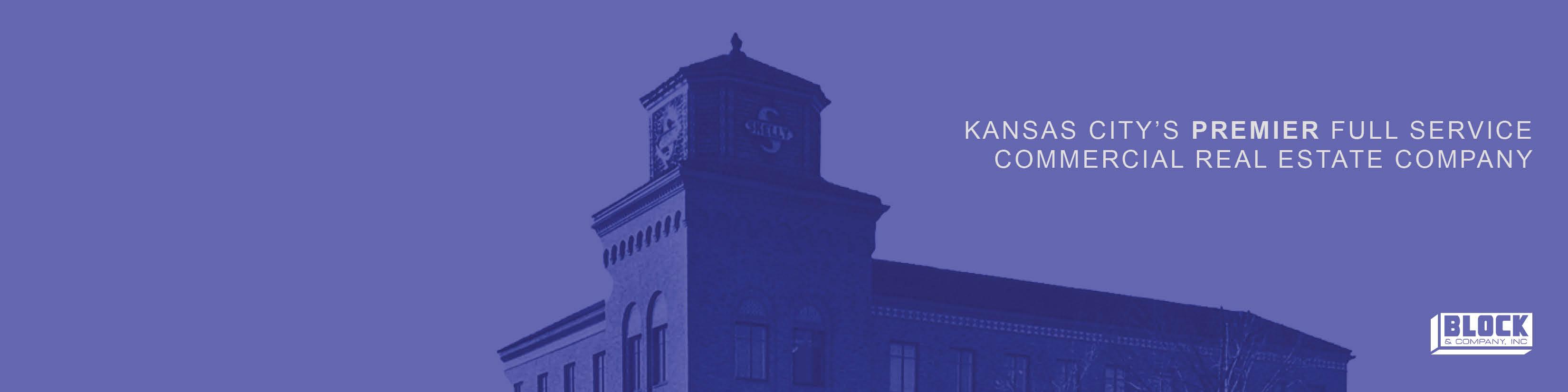 Public profile header image