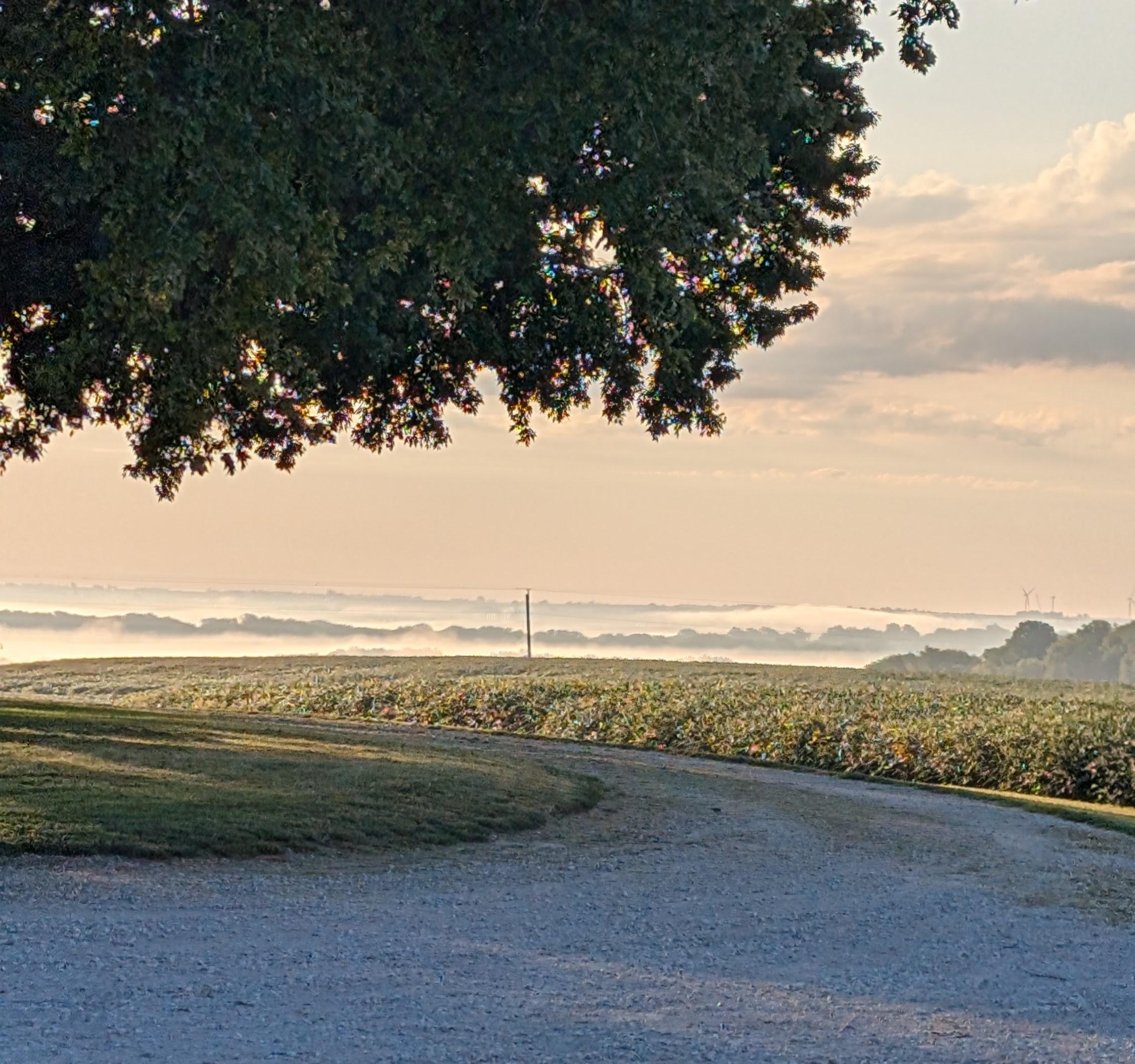 Public profile header image