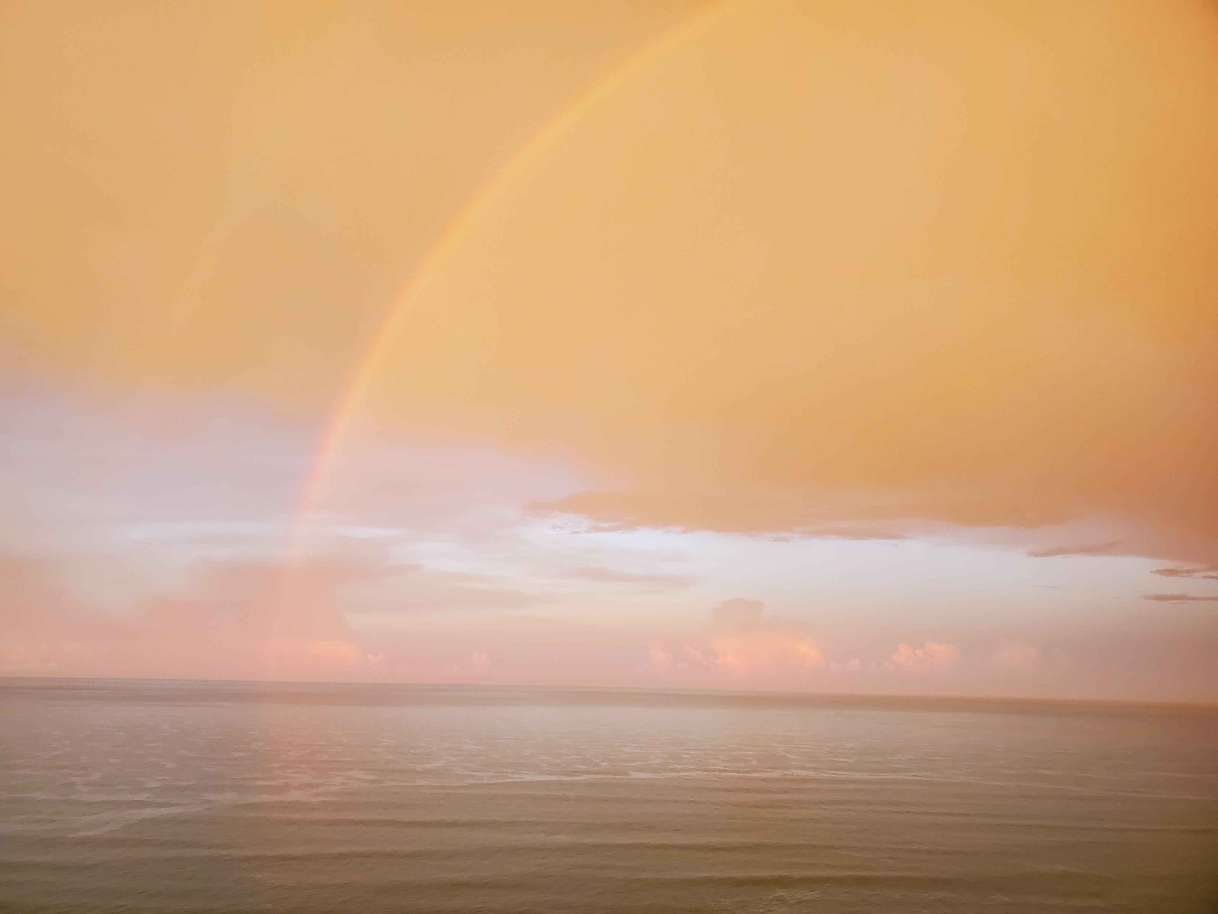 Public profile header image
