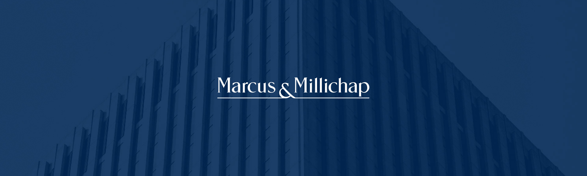 Public profile header image