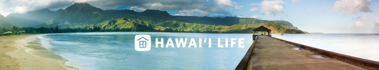 Public profile header image