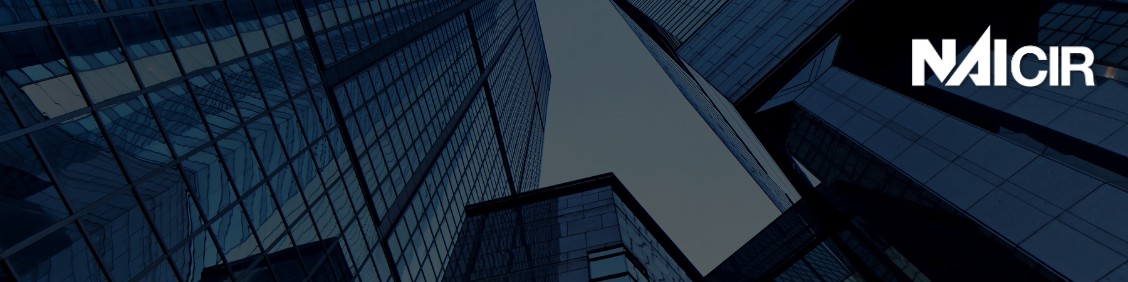 Public profile header image