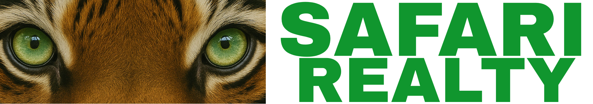 Public profile header image