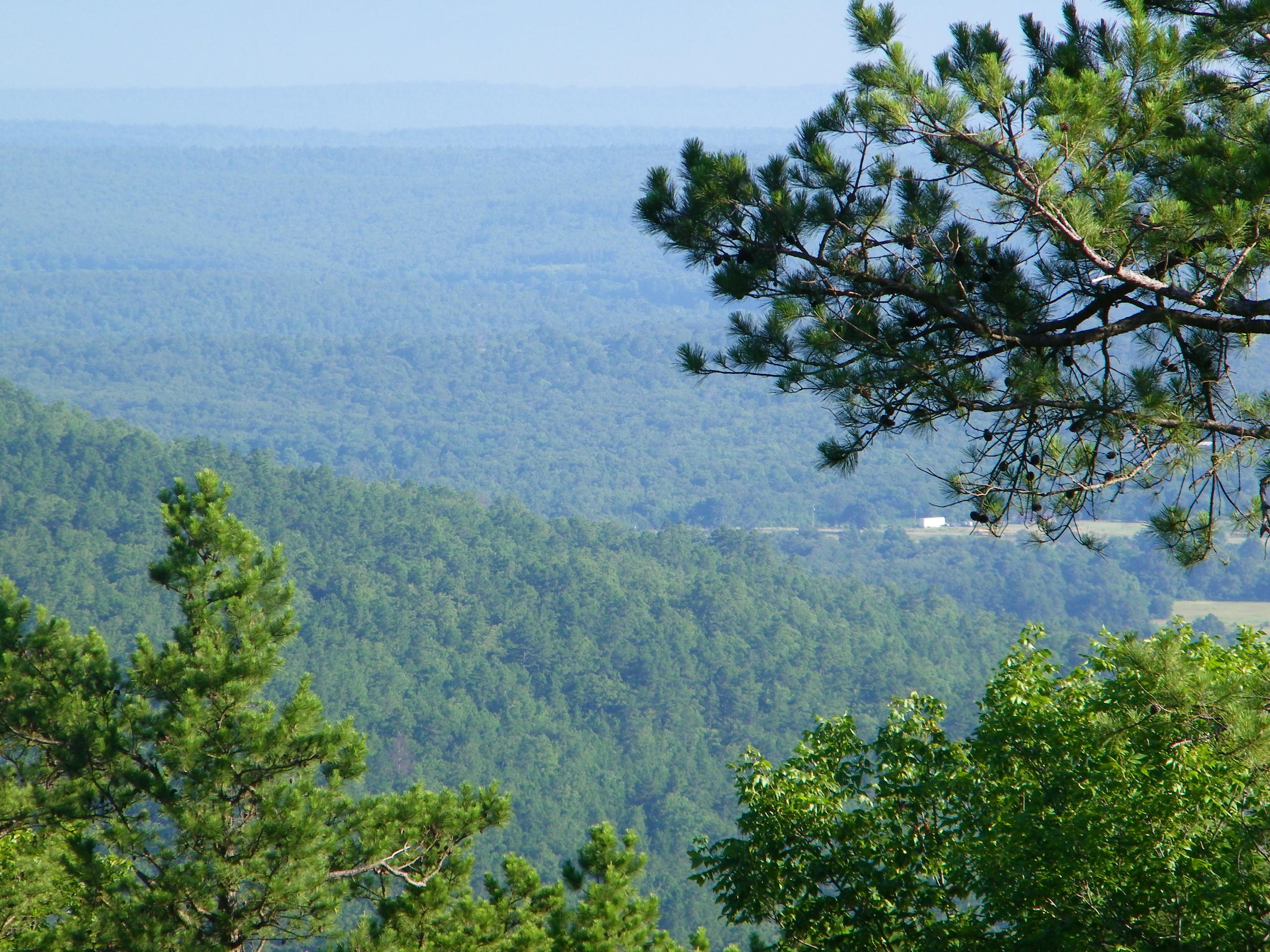 Public profile header image