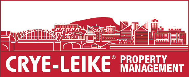 Public profile header image