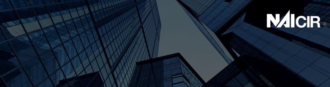 Public profile header image