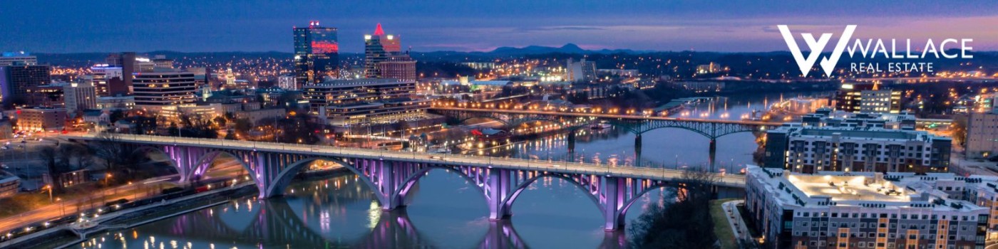 Public profile header image