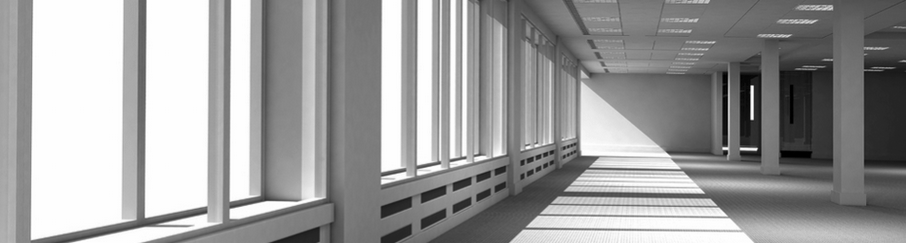 Public profile header image