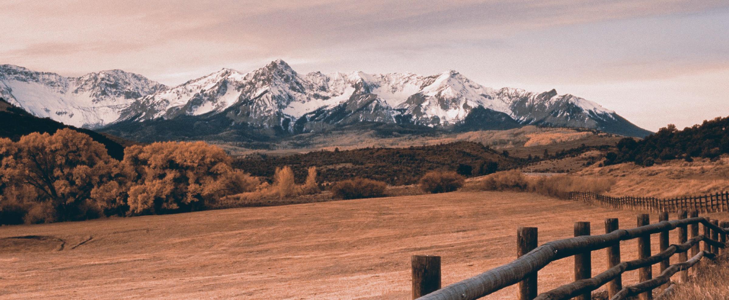 Public profile header image