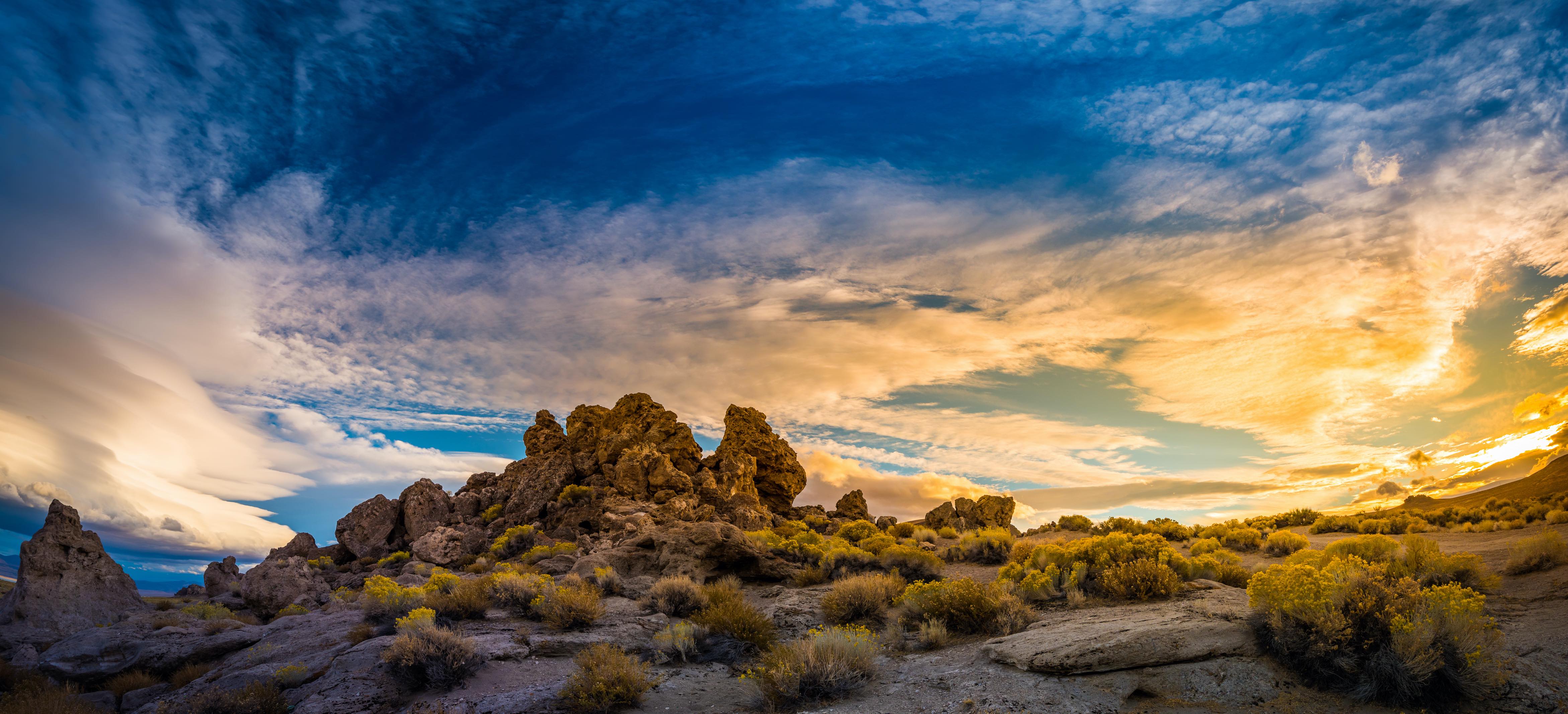 Public profile header image