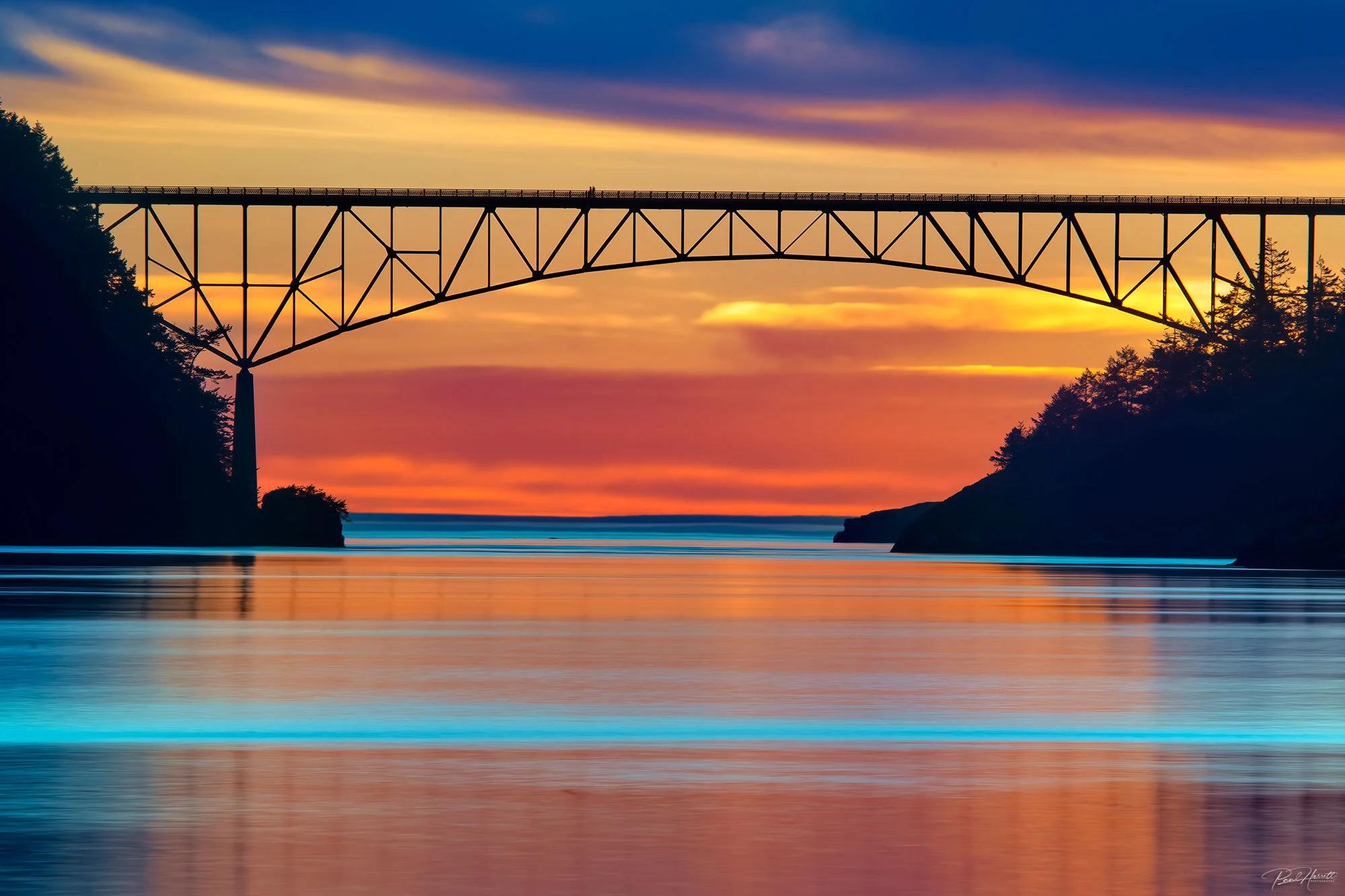 Public profile header image