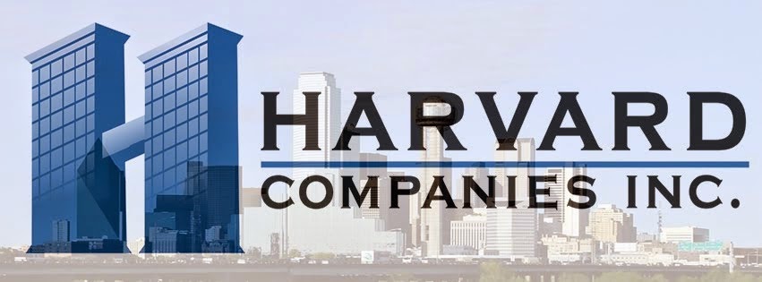 Public profile header image