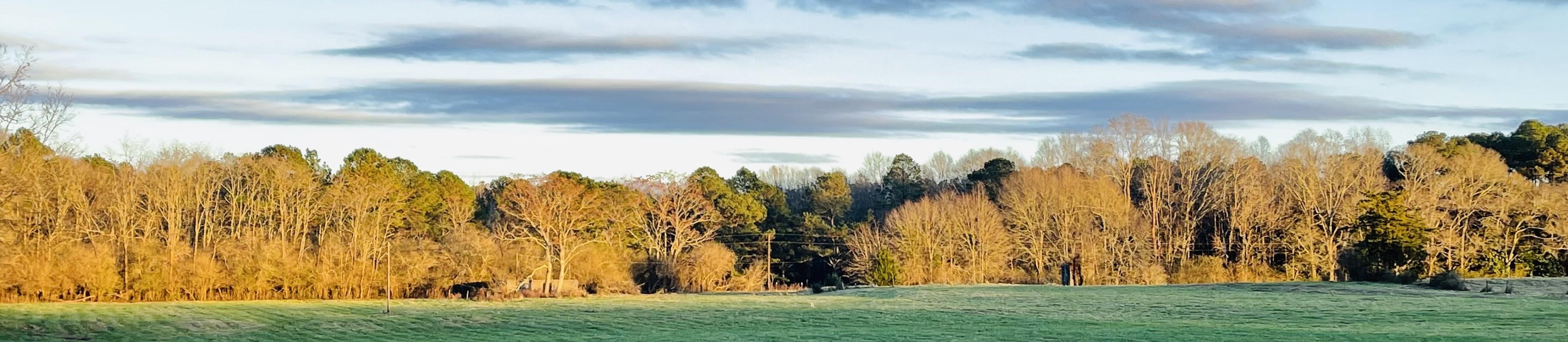 Public profile header image