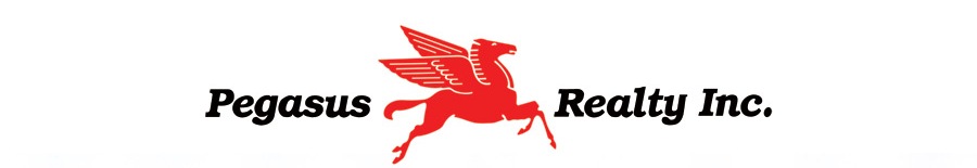 Public profile header image