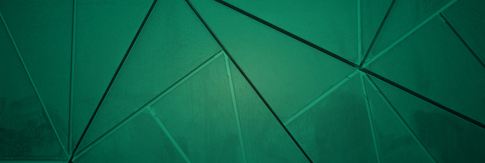 Public profile header image