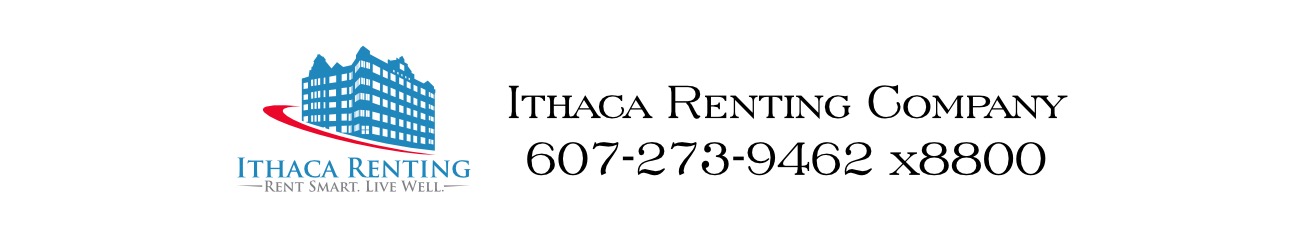 Public profile header image