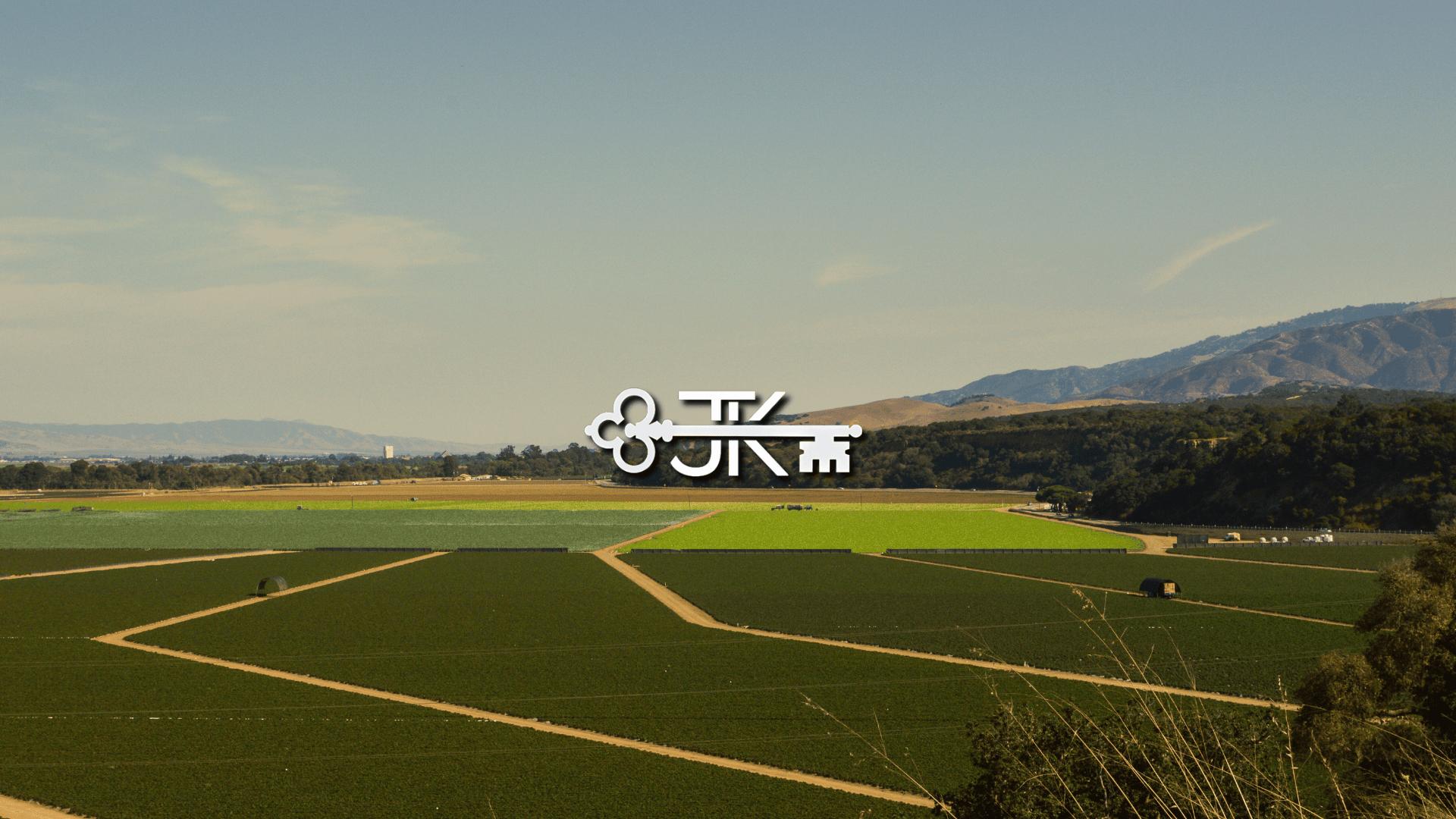 Public profile header image