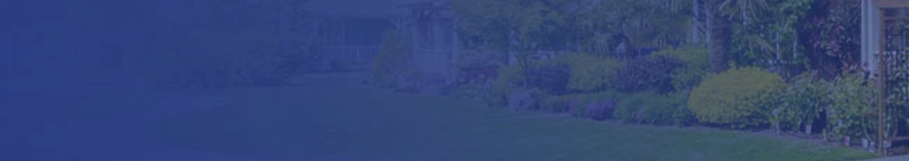 Public profile header image