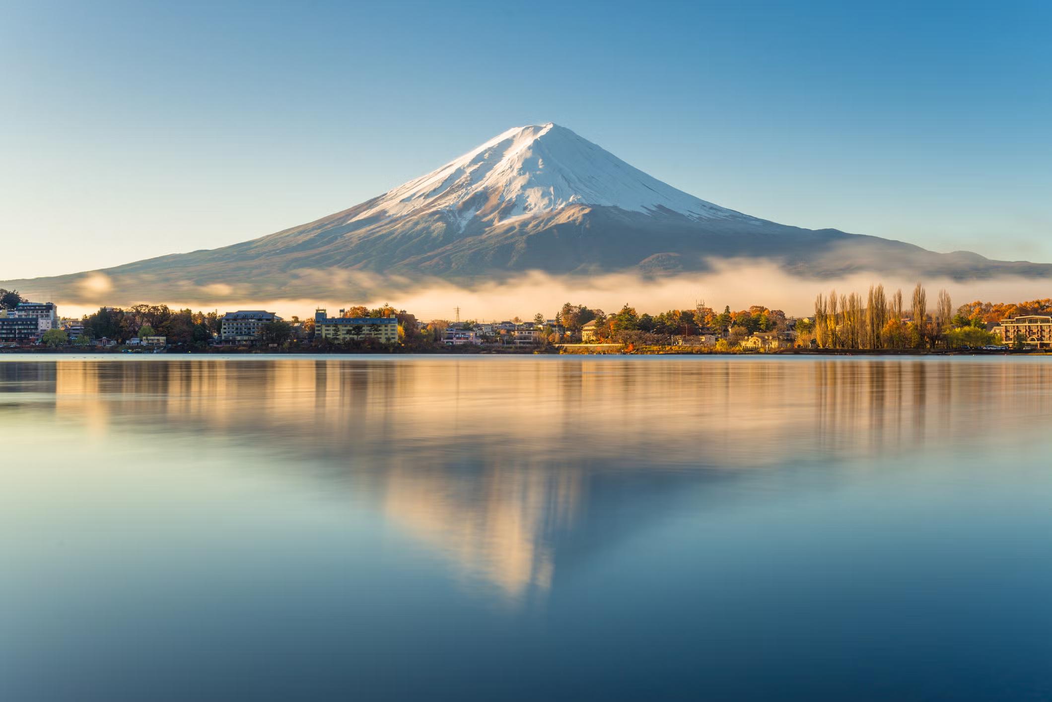 Public profile header image