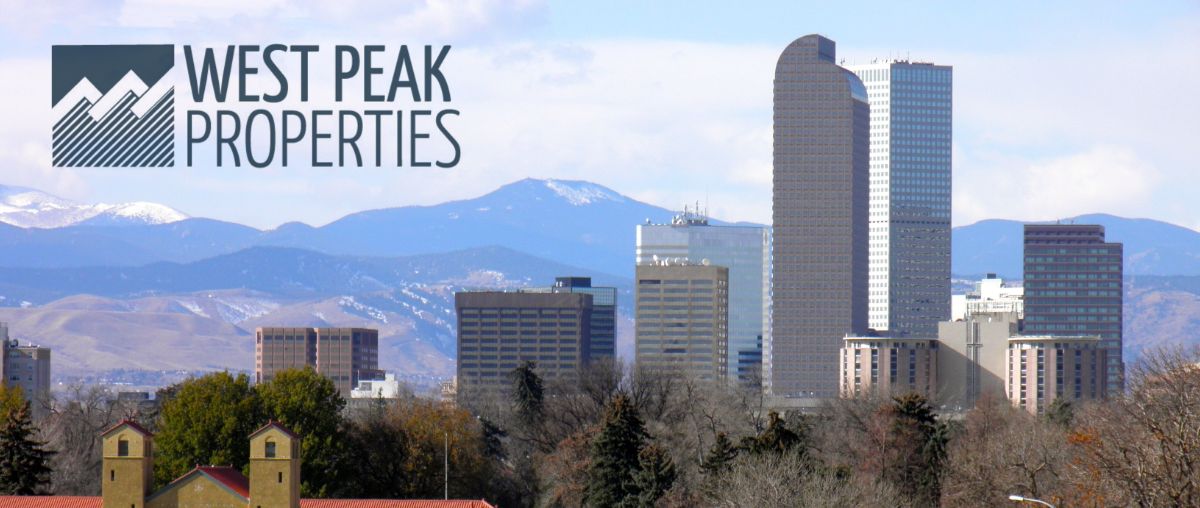 Public profile header image